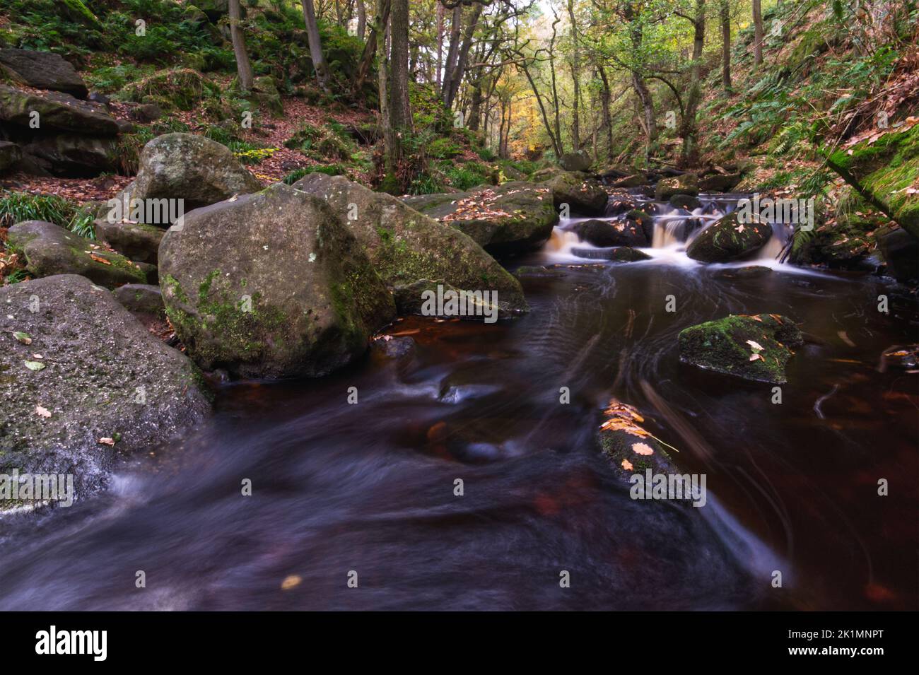 Burbage Brook, autunno nel Peak District National Park Foto Stock