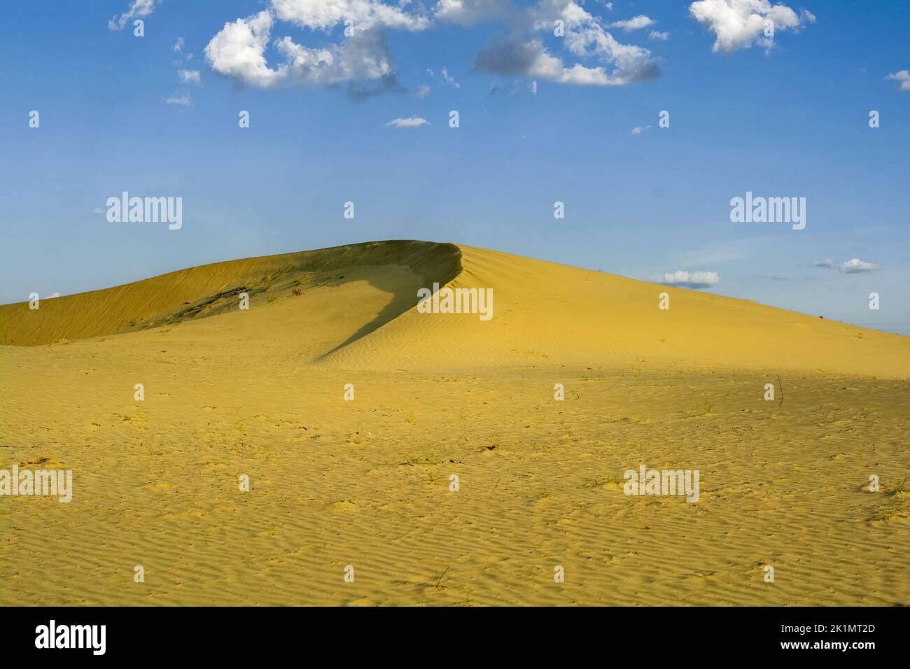 Dune di sabbia nel deserto del Thar Foto Stock