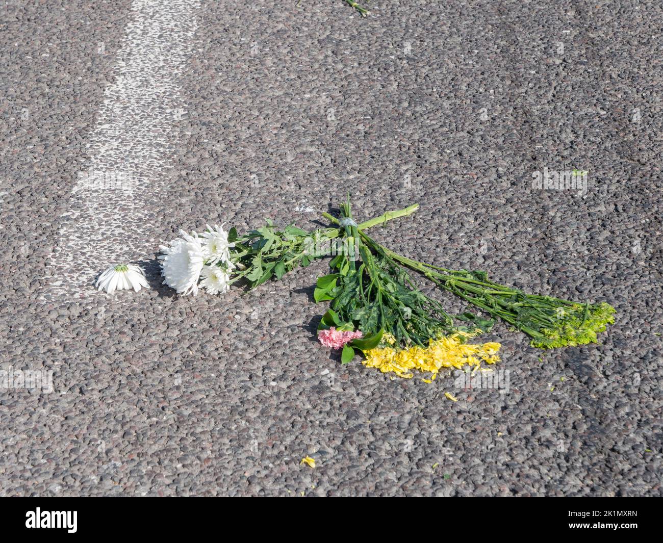 I fiori sono rimasti sulla strada gettati nel cuore di passaggio della Regina Elisabetta II, Londra, Regno Unito, sulla strada per la sua sepoltura nella cappella di St Georges, Windosor Castle, Regno Unito. Foto Stock