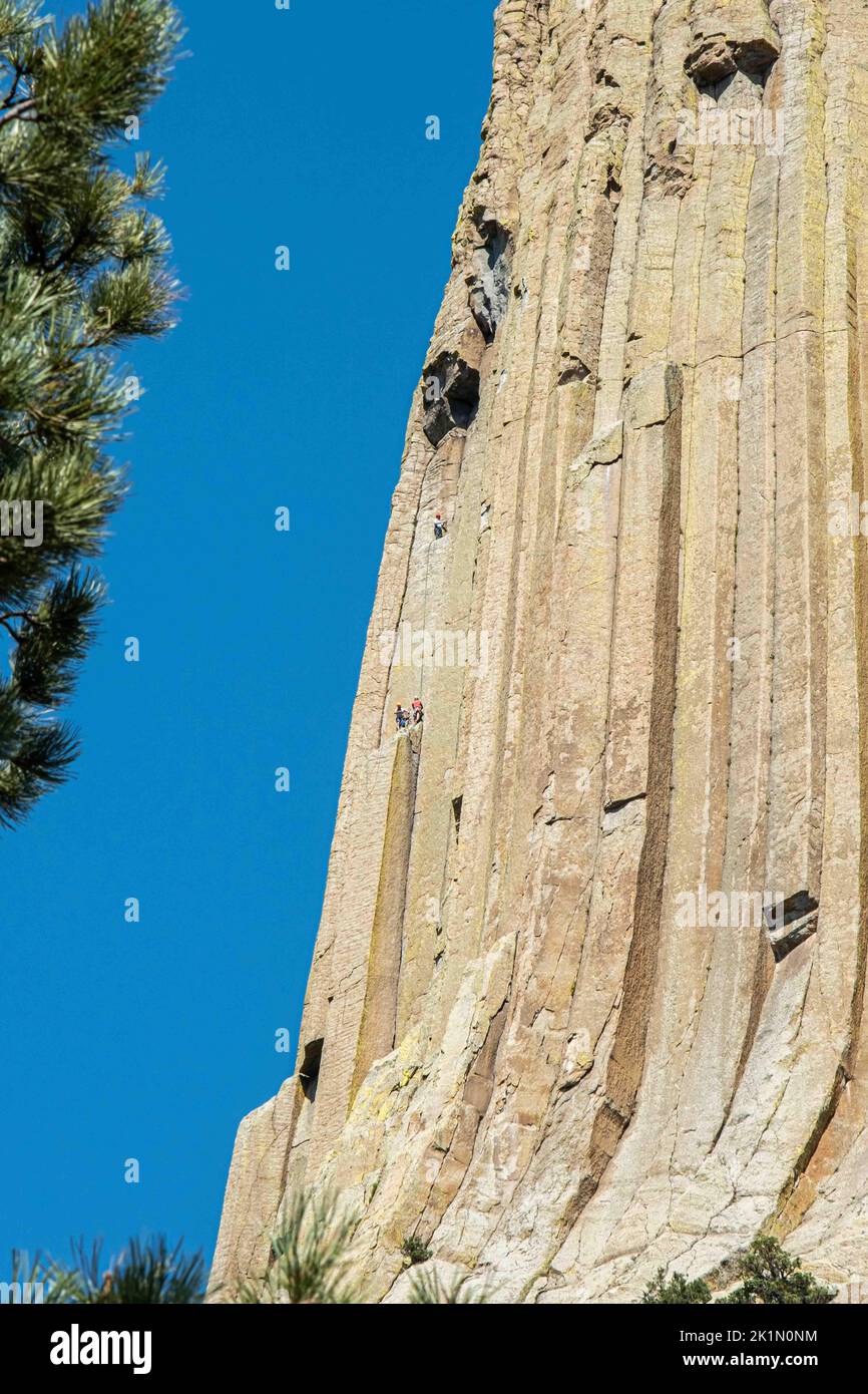 Devils Tower National Monument, Wyoming, USA: Tre arrampicatori salgono le colonne della torre geologica. Foto Stock