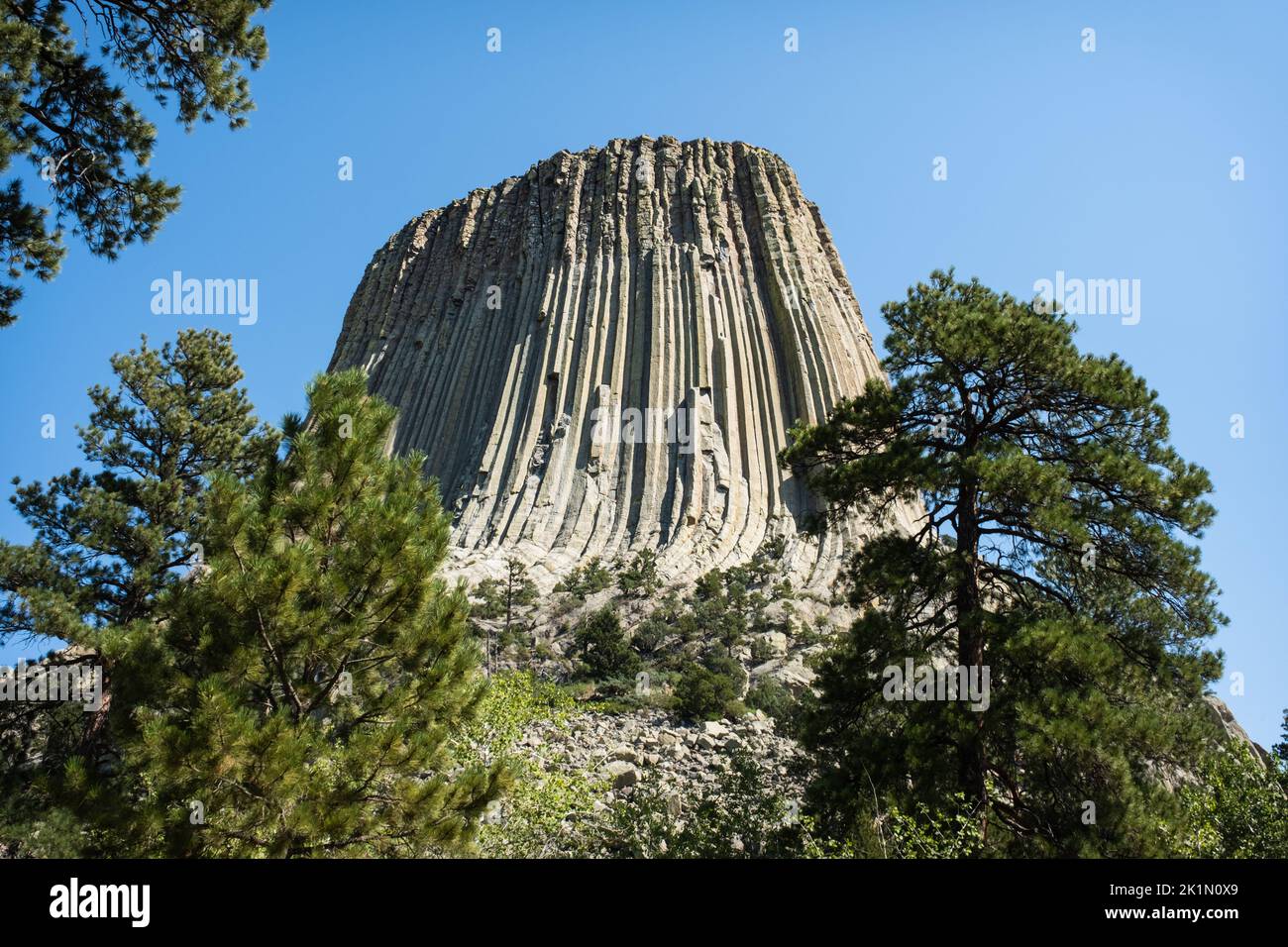 Devils Tower National Monument, Wyoming USA Foto Stock
