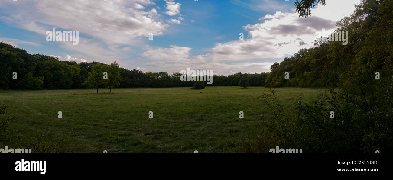 Vista su un prato nell'altopiano bohémien centrale, vicino al monte Košťálov. Foto Stock