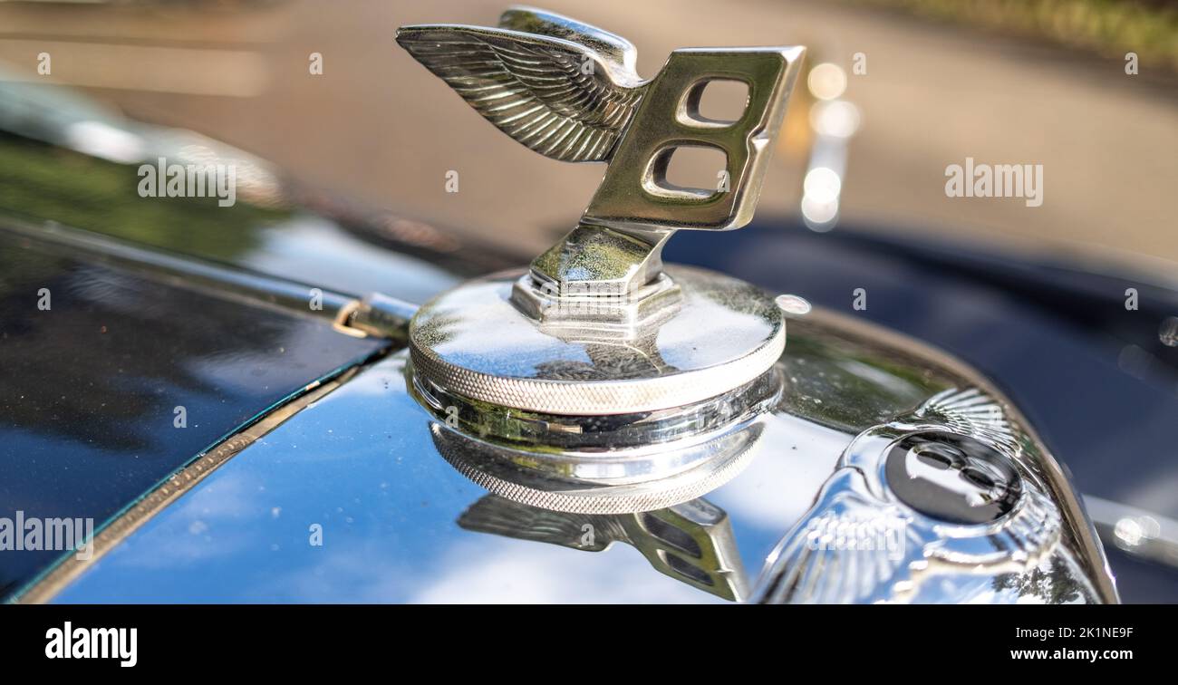 45. Concentrarsi in modo mirato sull'ornamento o sul logo del cofano della mascotte Bentley Wings Flying B. Foto Stock