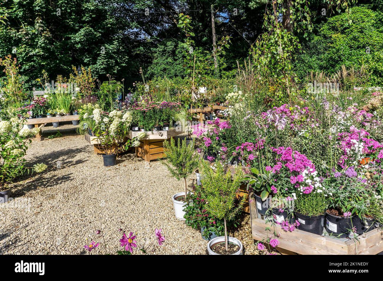 Il Garden Centre e il Nursery nel negozio Avoca di Kilmacanoge, Wicklow, Irlanda. Foto Stock