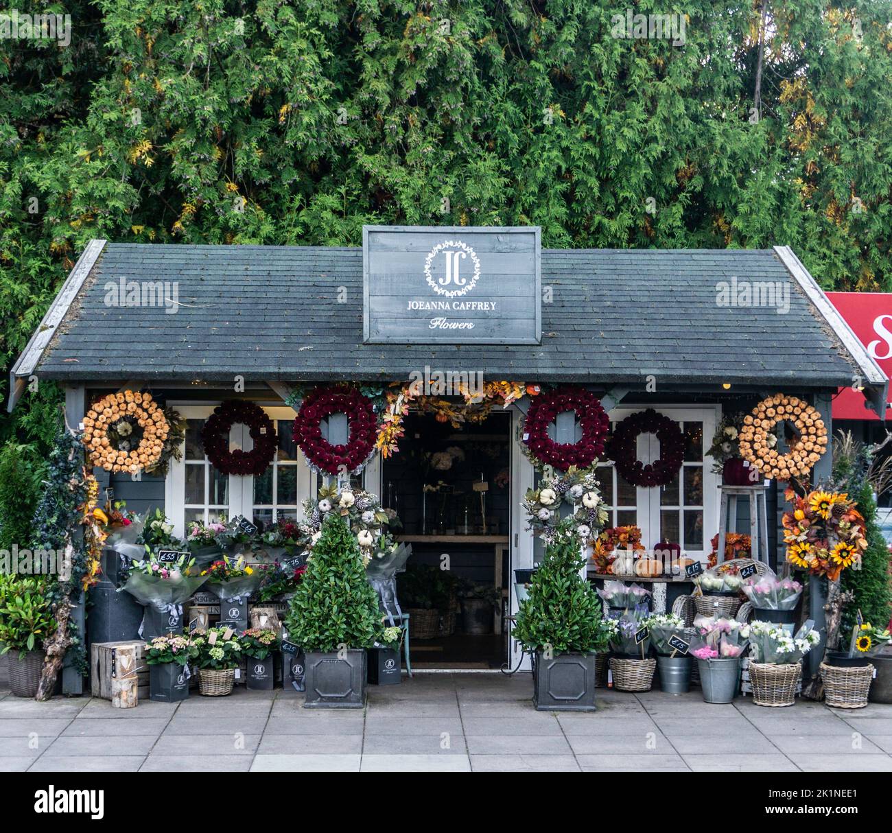 Il negozio di fiori Joeanna Caffrey a Kilmacanoge, Wicklow, Irlanda. Foto Stock