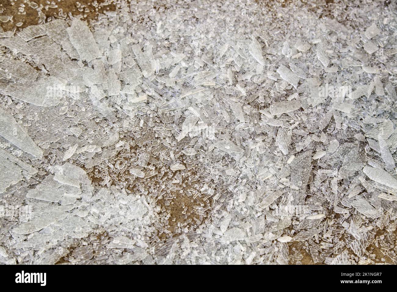 Particolare di vetro rotto nei rifiuti, pericolo dovuto a tagli Foto Stock