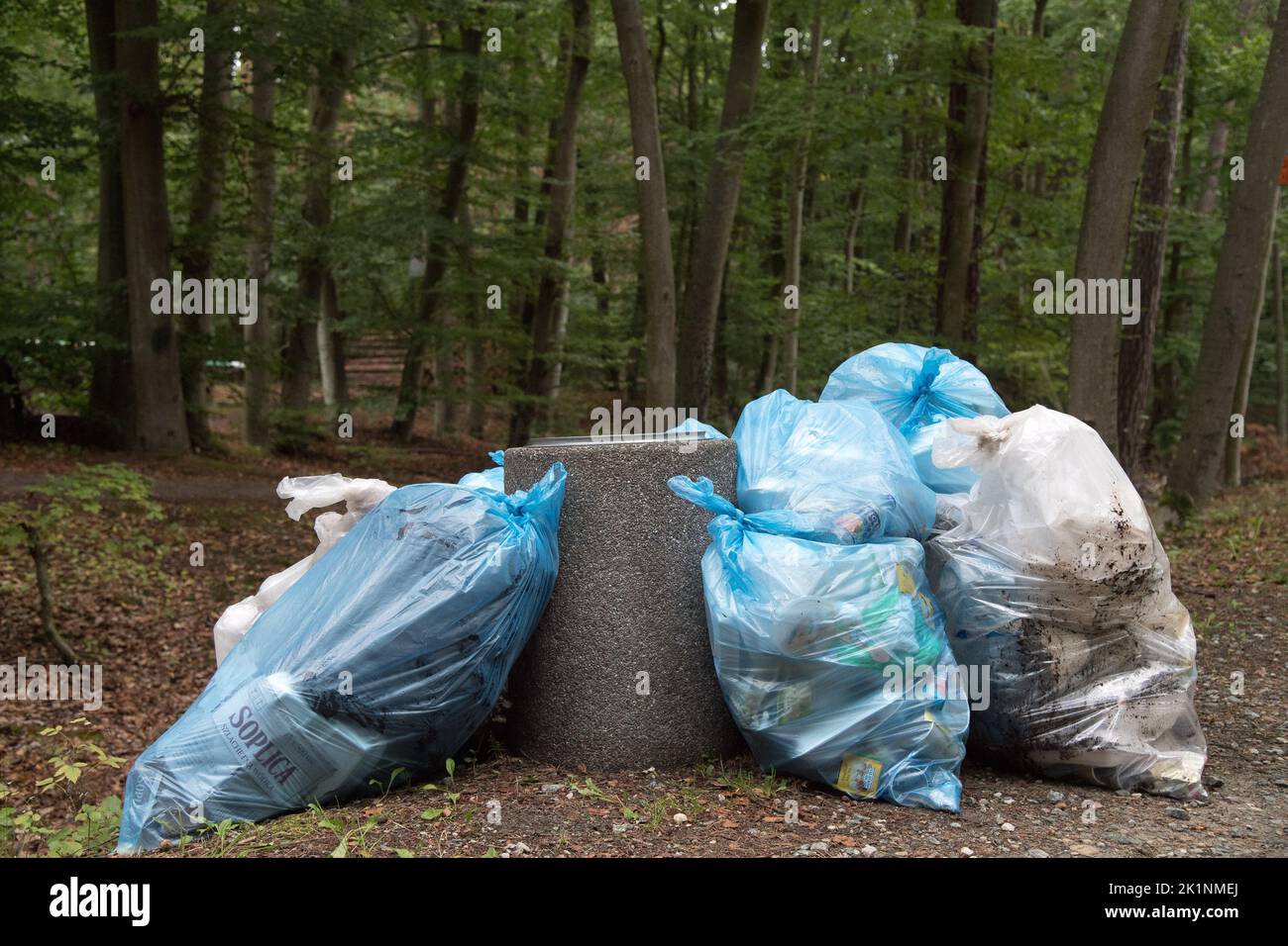 Rifiuti nella foresta, Polonia © Wojciech Strozyk / Alamy Stock Photo *** Didascalia locale *** Foto Stock