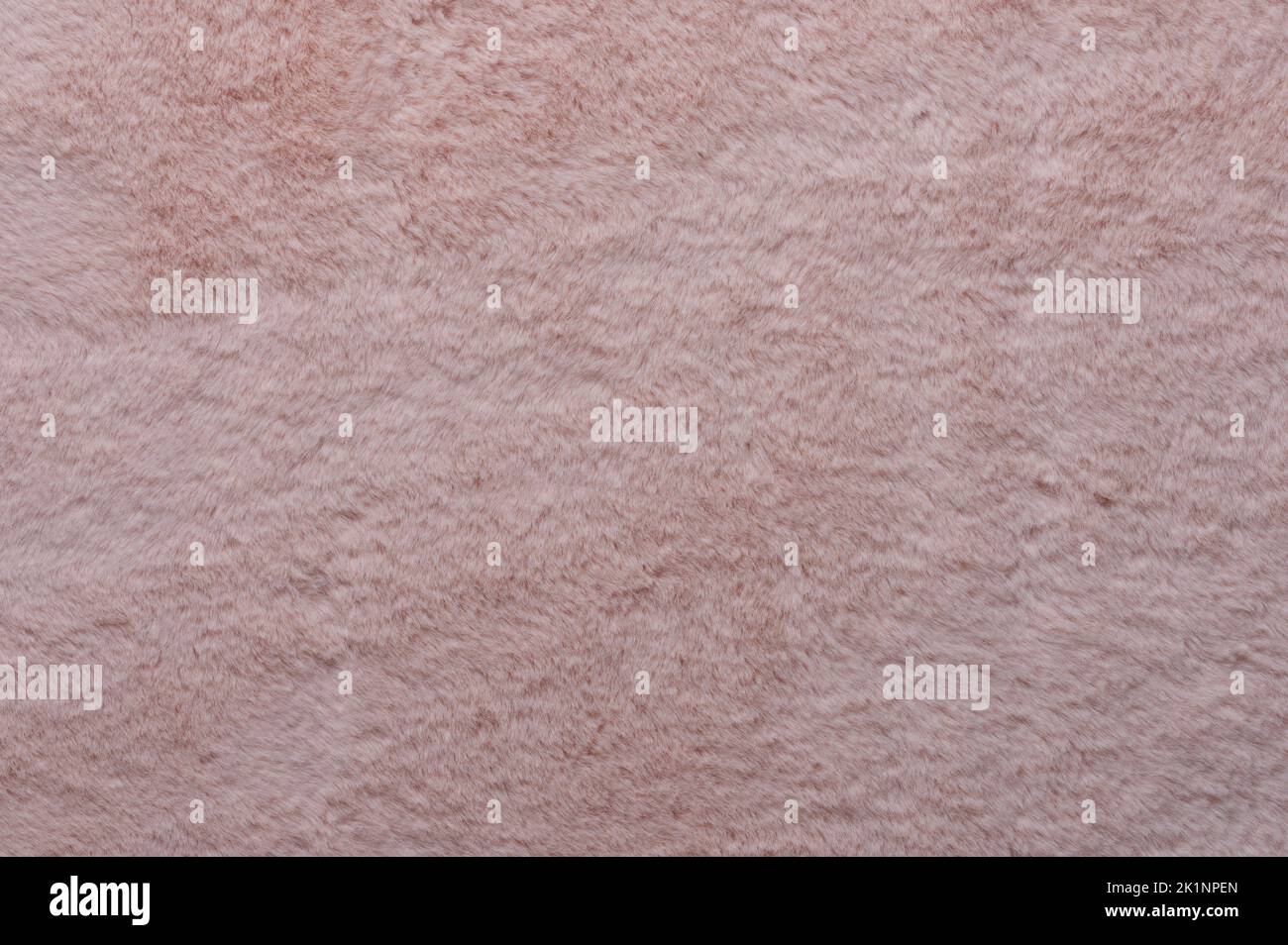 Immagine macro sfondo pelliccia rosa uniforme Foto Stock