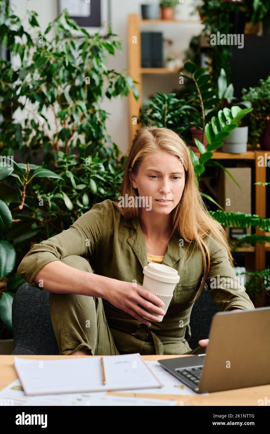 Giovane donna seria con una tazza di caffè seduto sul posto di lavoro davanti al notebook e analizzando i dati o preparando un nuovo progetto in ufficio Foto Stock