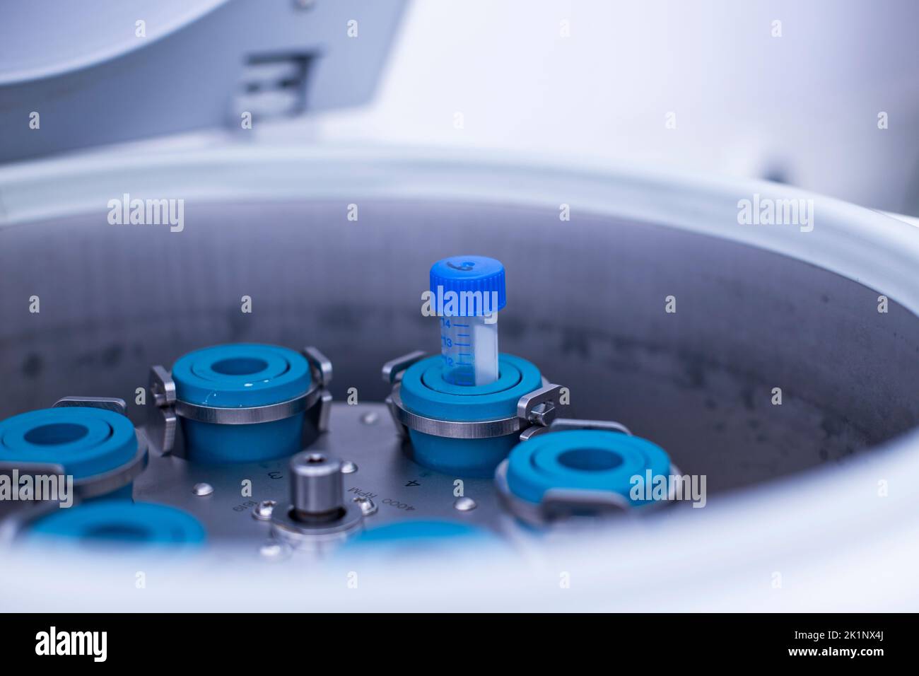 centrifuga da laboratorio presso il laboratorio di coltura cellulare e medicina Foto Stock