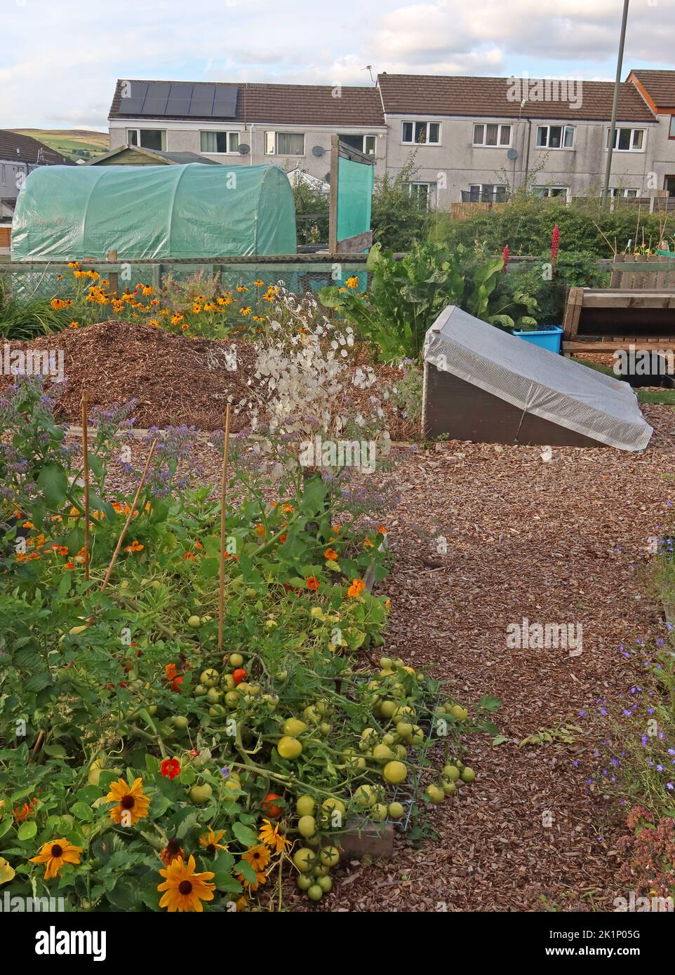 GAFA, Glossopdale Action for allotments, Gamesley Estate, Melandra Castle Road, Gamesley, High Peak, Inghilterra, REGNO UNITO, SK13 0BN Foto Stock
