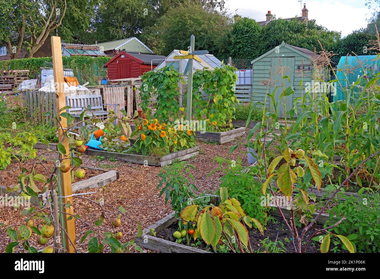 GAFA, Glossopdale Action for allotments, Gamesley Estate, Melandra Castle Road, Gamesley, High Peak, Inghilterra, REGNO UNITO, SK13 0BN Foto Stock