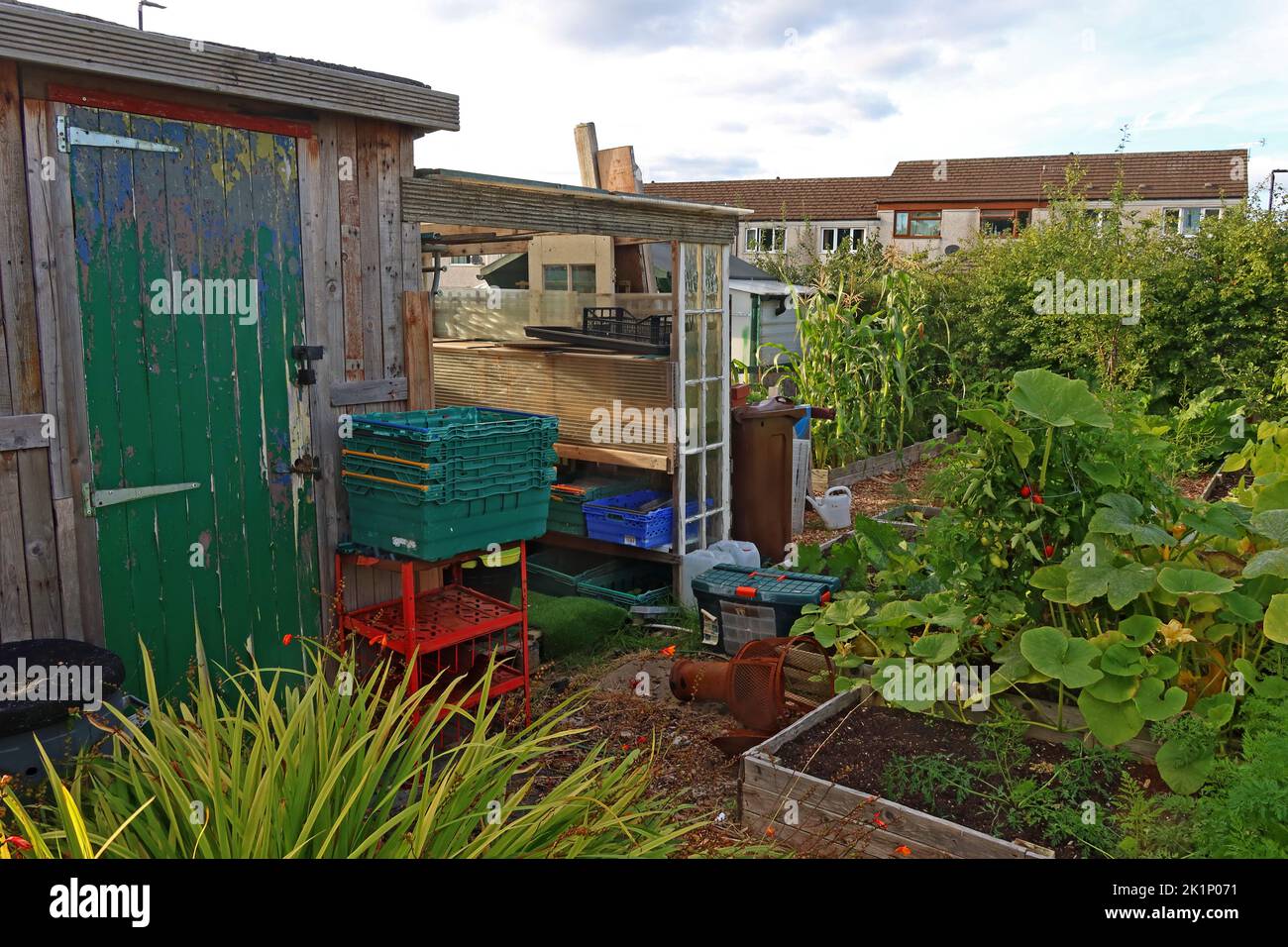 GAFA, Glossopdale Action for allotments, Gamesley Estate, Melandra Castle Road, Gamesley, High Peak, Inghilterra, REGNO UNITO, SK13 0BN Foto Stock