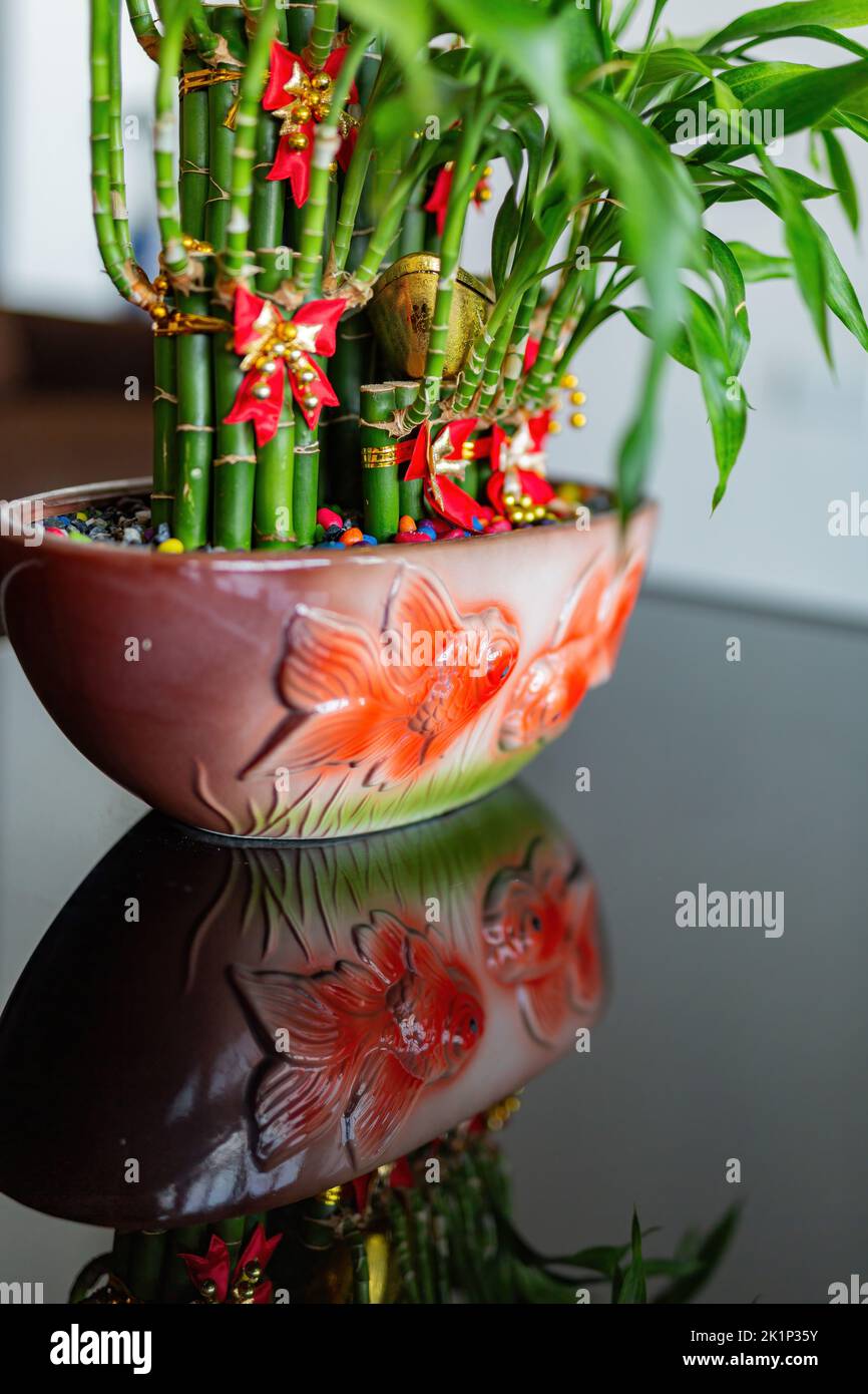 Primo piano di bambù Lucky con riflessione e una pentola di pesce a Matsu, Taiwan Foto Stock
