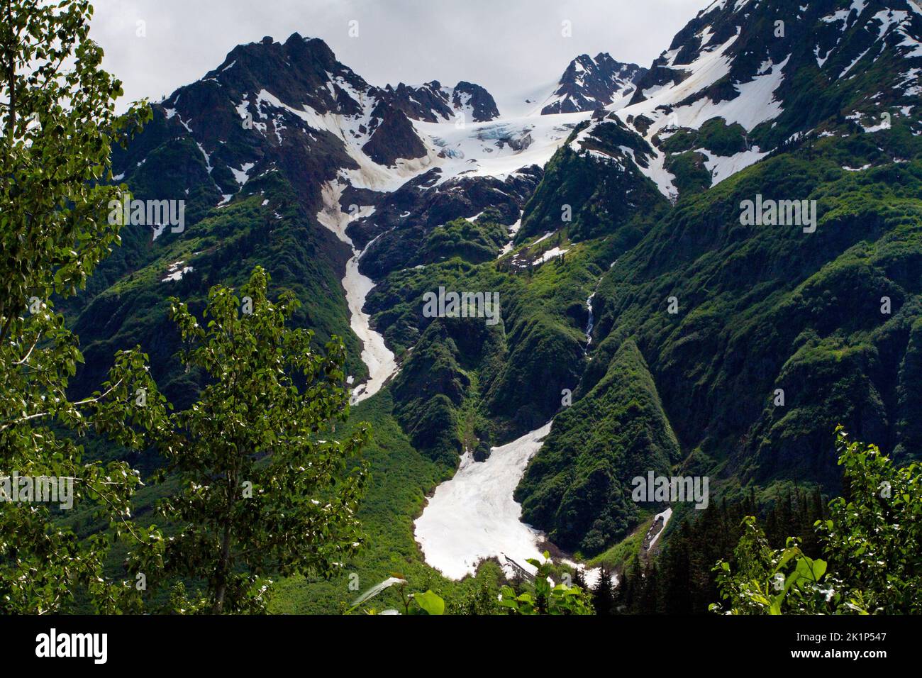 Una vista panoramica delle montagne nel Bear Glacier Provincial Park lungo il percorso 37A tra il lago Meziadin e Stewart, nella parte settentrionale del British Columbia, Canada Foto Stock