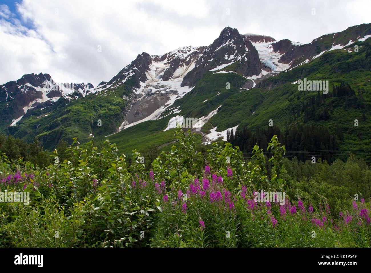 Una vista panoramica delle montagne nel Bear Glacier Provincial Park lungo il percorso 37A tra il lago Meziadin e Stewart, nella parte settentrionale del British Columbia, Canada Foto Stock
