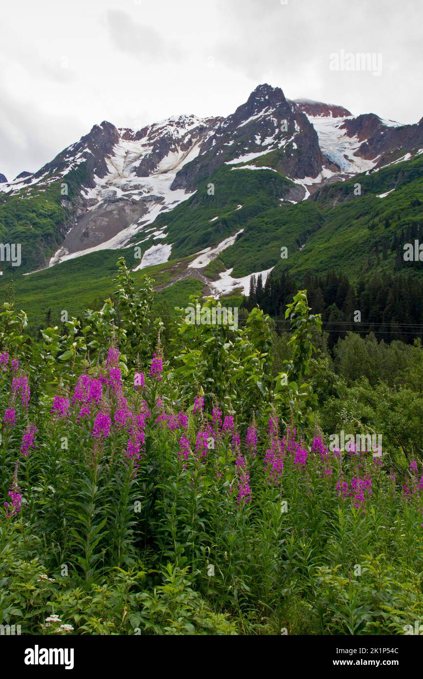 Una vista panoramica delle montagne nel Bear Glacier Provincial Park lungo il percorso 37A tra il lago Meziadin e Stewart, nella parte settentrionale del British Columbia, Canada Foto Stock