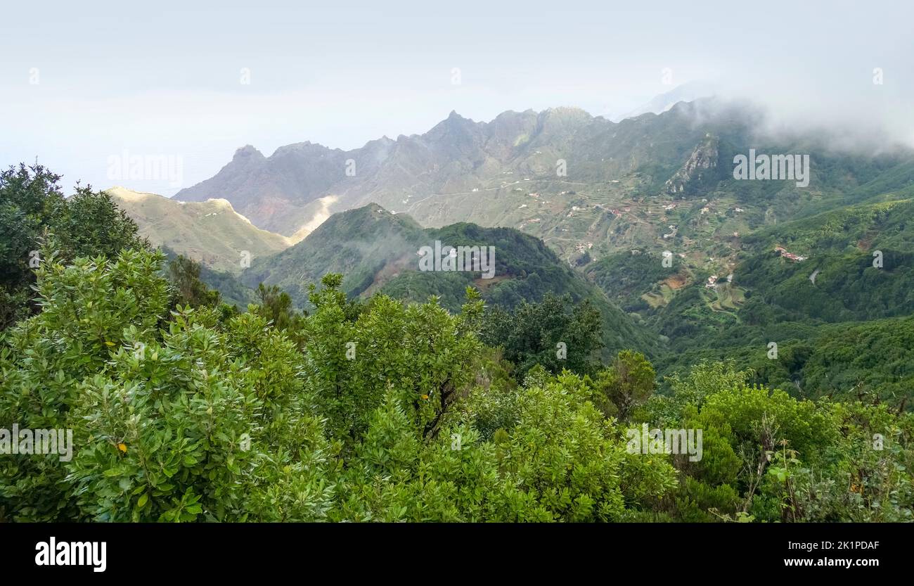 Impressione intorno a Mirador Pico del Ingles a Tenerife, Isole Canarie, Spagna Foto Stock