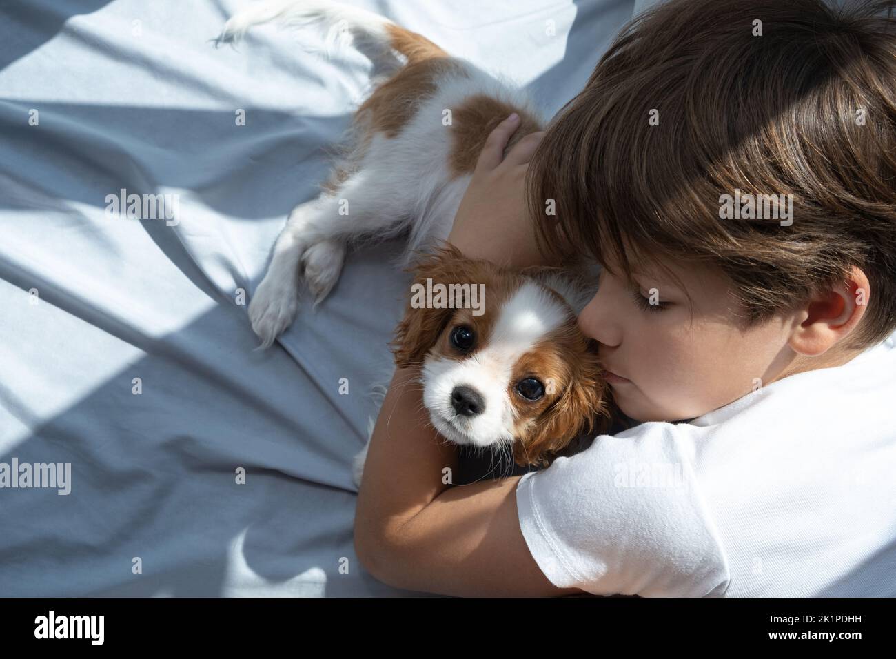 il ragazzo con un cane in abbraccio si trova a letto al mattino. Dormire con gli animali domestici. Carino cavalier cucciolo re charles spaniel. Foto Stock