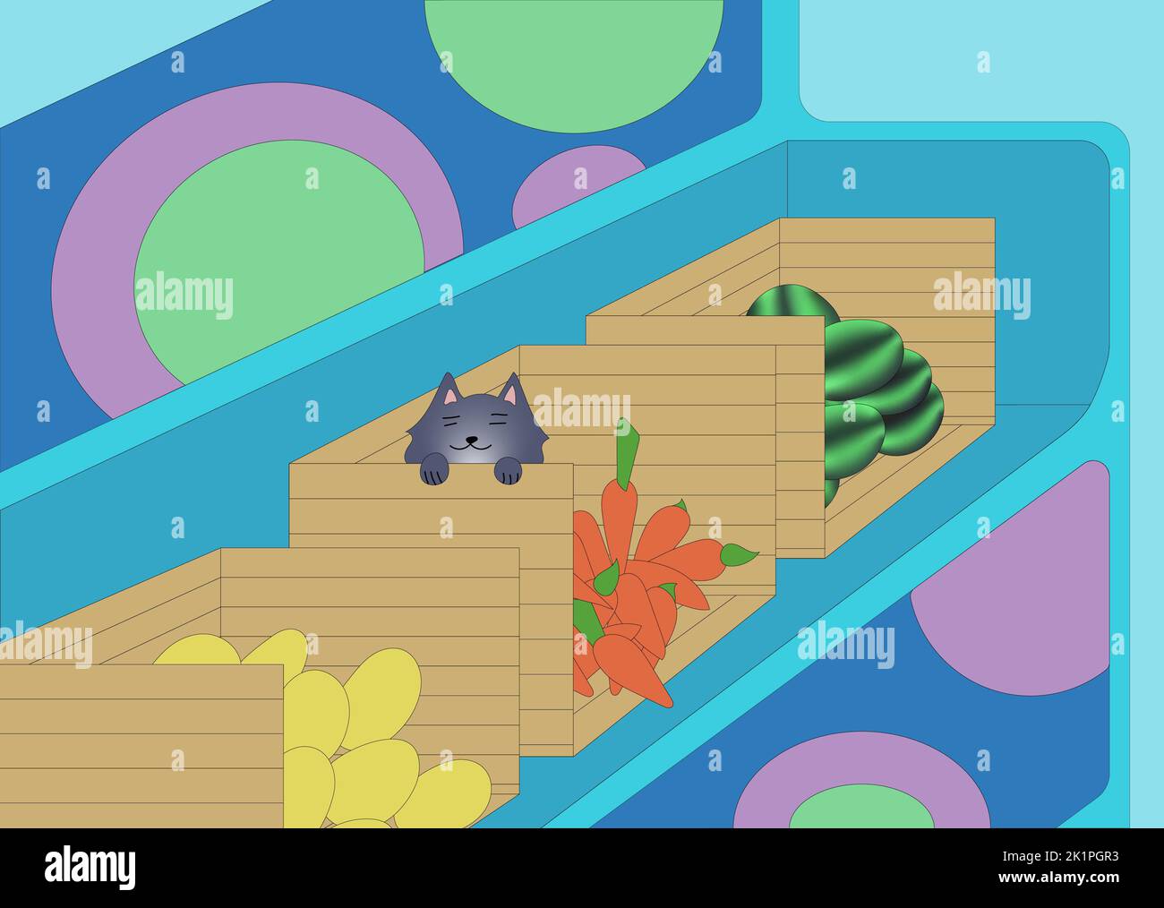 Il gattino si nascose in una scatola di carote in uno stallo del mercato Foto Stock