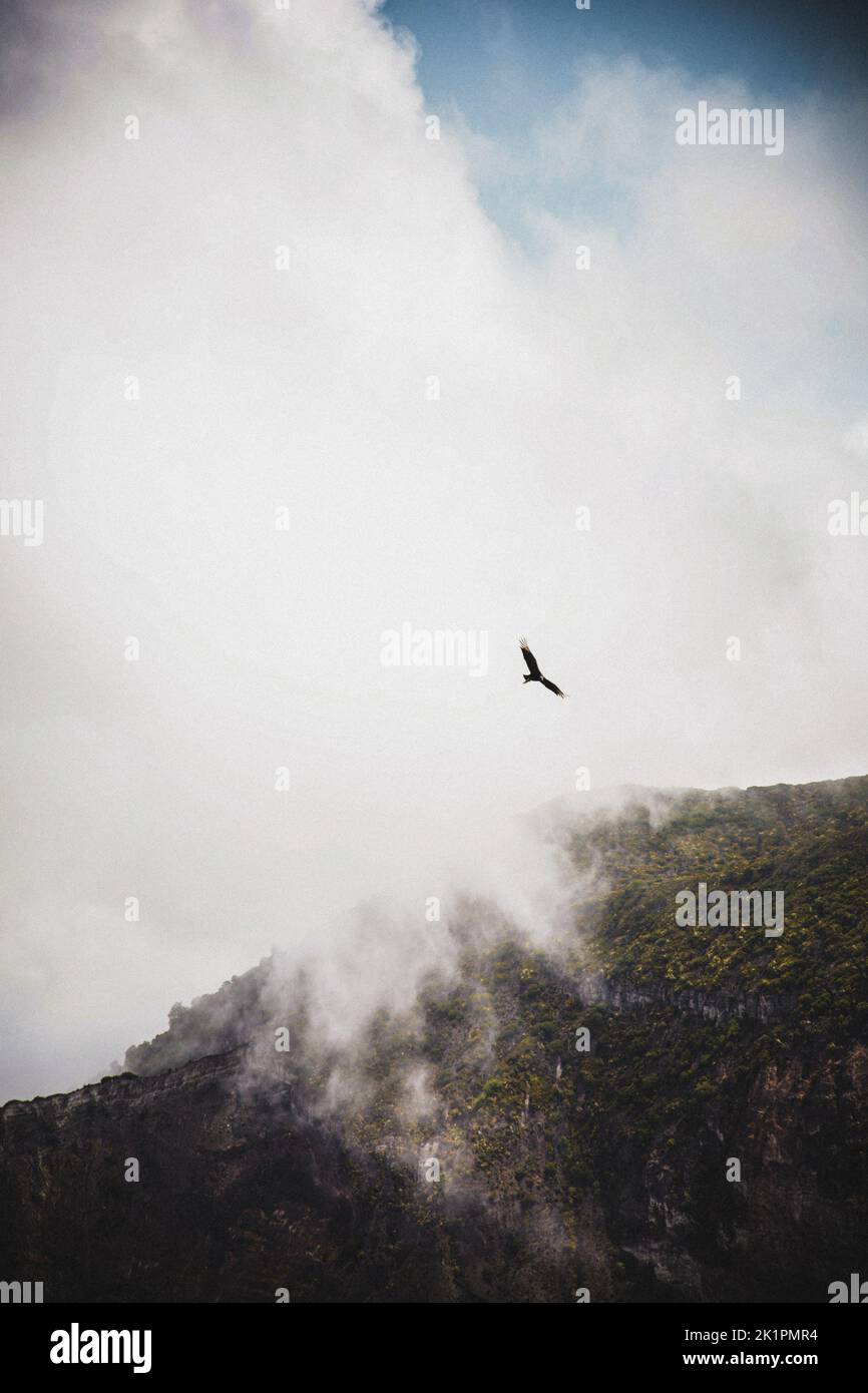 Un colpo verticale di una cima di montagna all'interno delle nuvole e un uccello che vola su di essa Foto Stock
