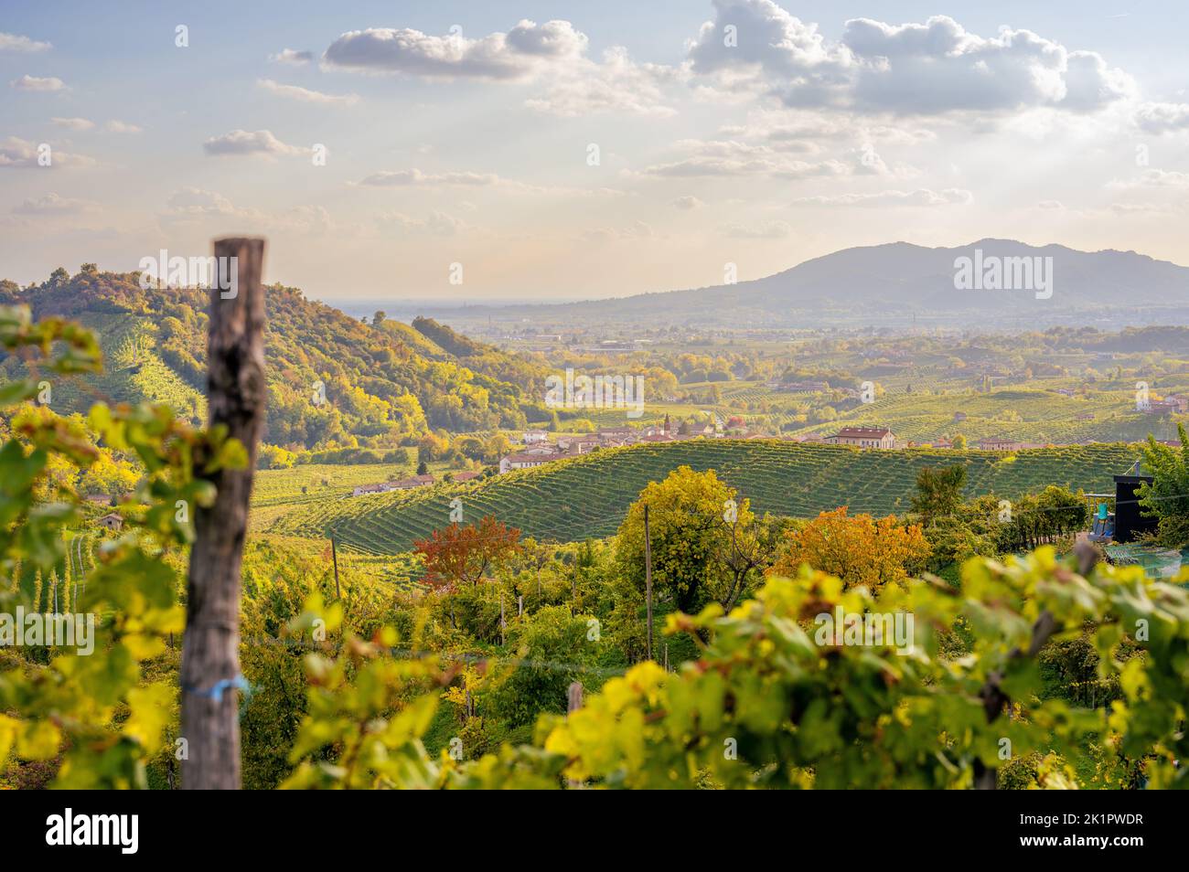 Vista sulle colline di Conegliano Valdobbiadene in autunno. Italia Foto Stock