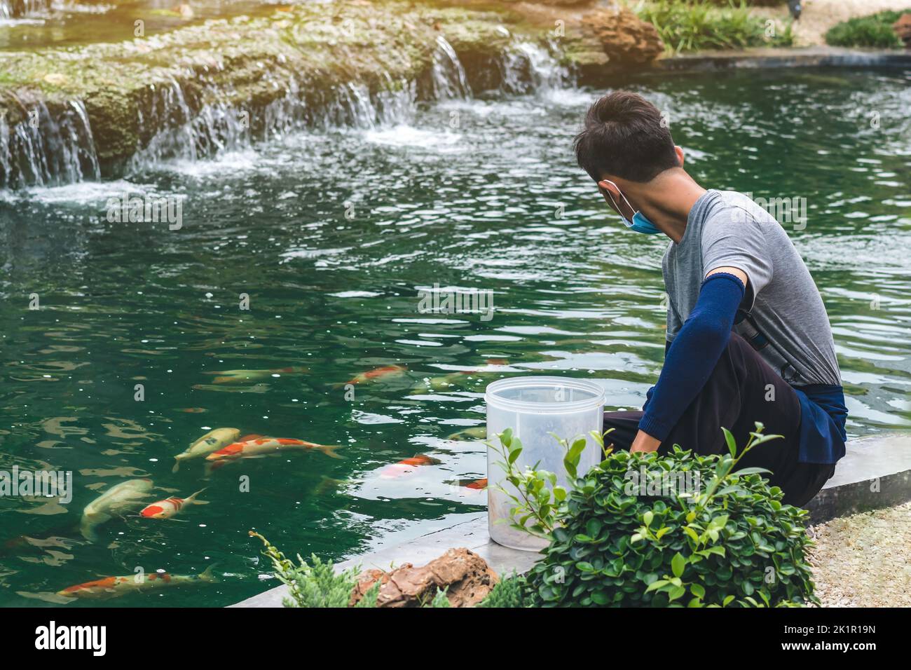 Operaio asiatico maschio prendersi cura e alimentare il cibo a mano al suo bel animale domestico. Guy nutrire gregge di giapponese bello colorato carpe koi pesce nuoto in po Foto Stock