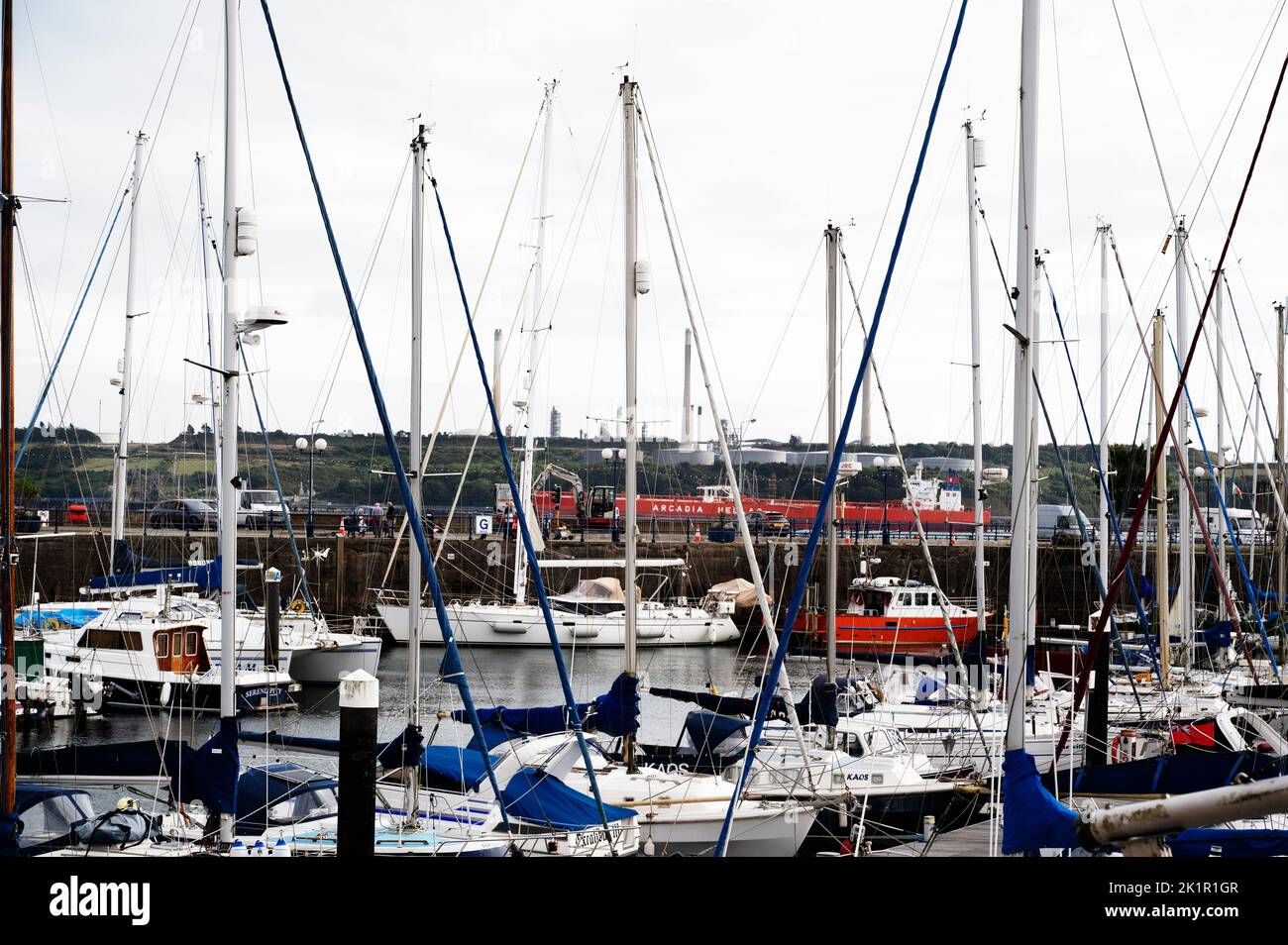 Galles, Pembrokeshire. Porto turistico di Milford Haven. Barche sul loro ormeggio con la petroliera Arcadia Helas in lontananza. Foto Stock