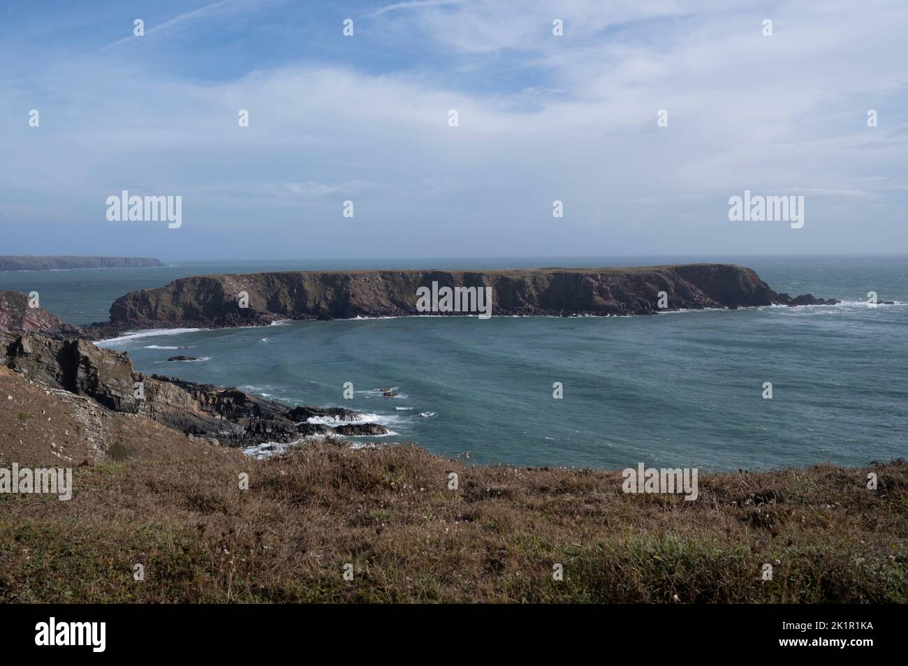 Galles, Pembrokeshire. Percorso costiero. Vista sul mare e sulle scogliere. Foto Stock