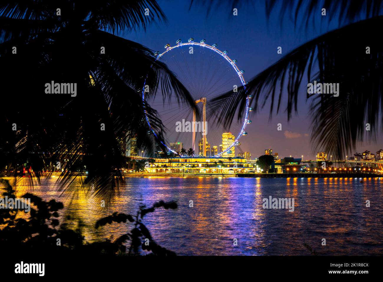 Singapore Flyer e skyline della città di notte da Gardens by the Bay. Singapore Foto Stock