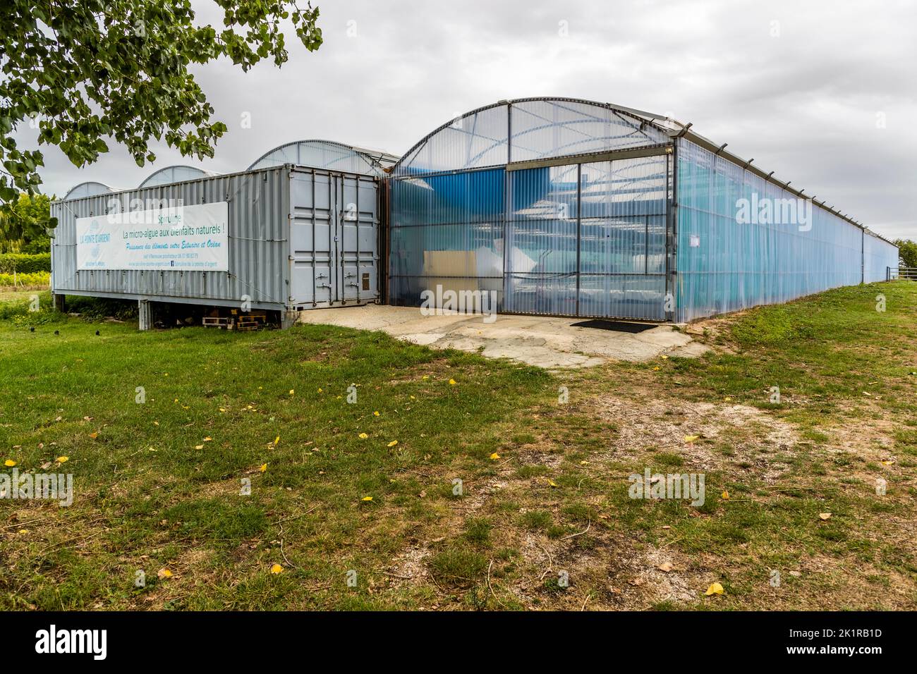 Una serra allungata ricoperta di plastica con pannelli laterali blu ospita le vasche di coltura di Spiruline de la Pointe d'Argent a Saint-Vivien-de-Médoc, Médoc, Francia. Un cartello all'ingresso pubblicizza "Spirulina, la microalga dai benefici naturali". L'azienda familiare EARL Médoc Micro Algues coltiva spirulina lì dal 2018, una cianobatteria conosciuta colloquialmente anche come alghe blu. Foto Stock