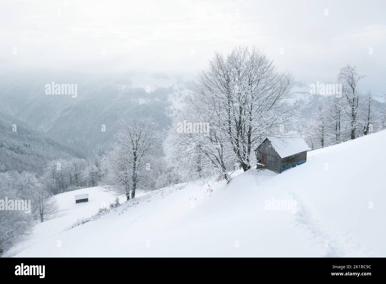 Splendido paesaggio invernale con una cabina in legno nella neve Foto Stock