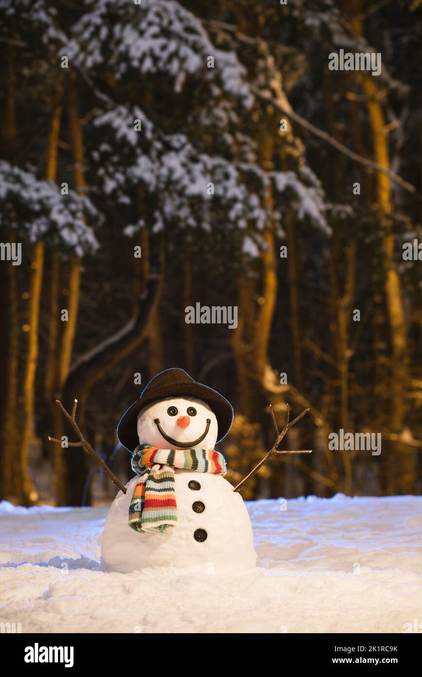 Biglietto di Natale con simpatico pupazzo di neve nel parco innevato serale Foto Stock