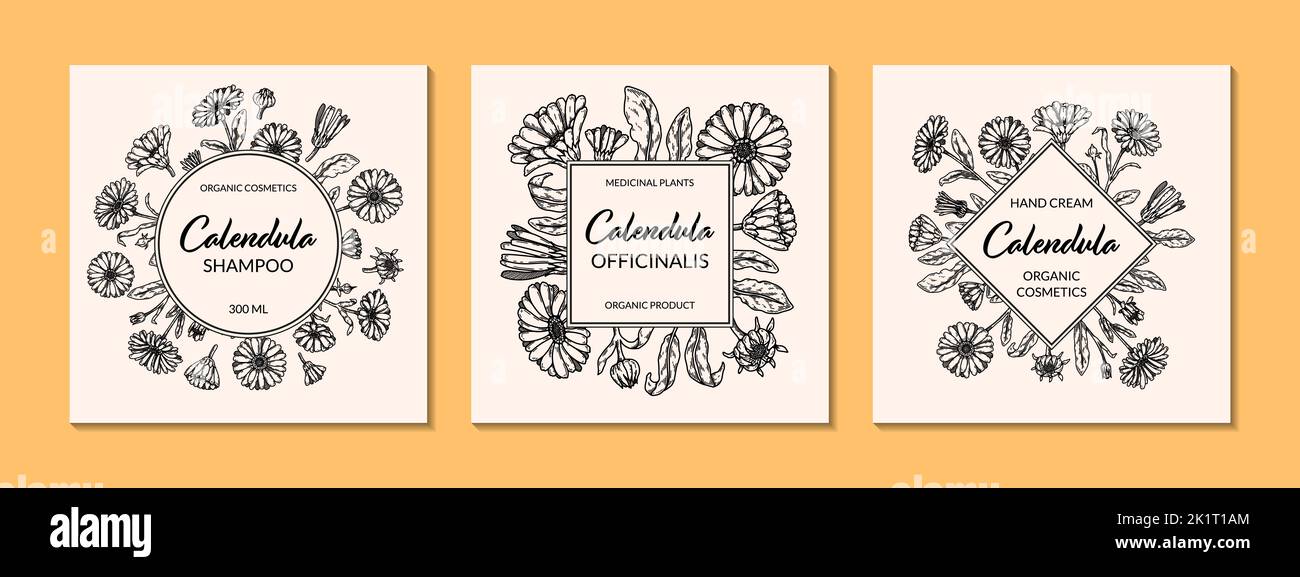 Set di cornici in calendula con elementi disegnati a mano. Illustrazione vettoriale nello stile di schizzo. Design di packaging vintage Illustrazione Vettoriale
