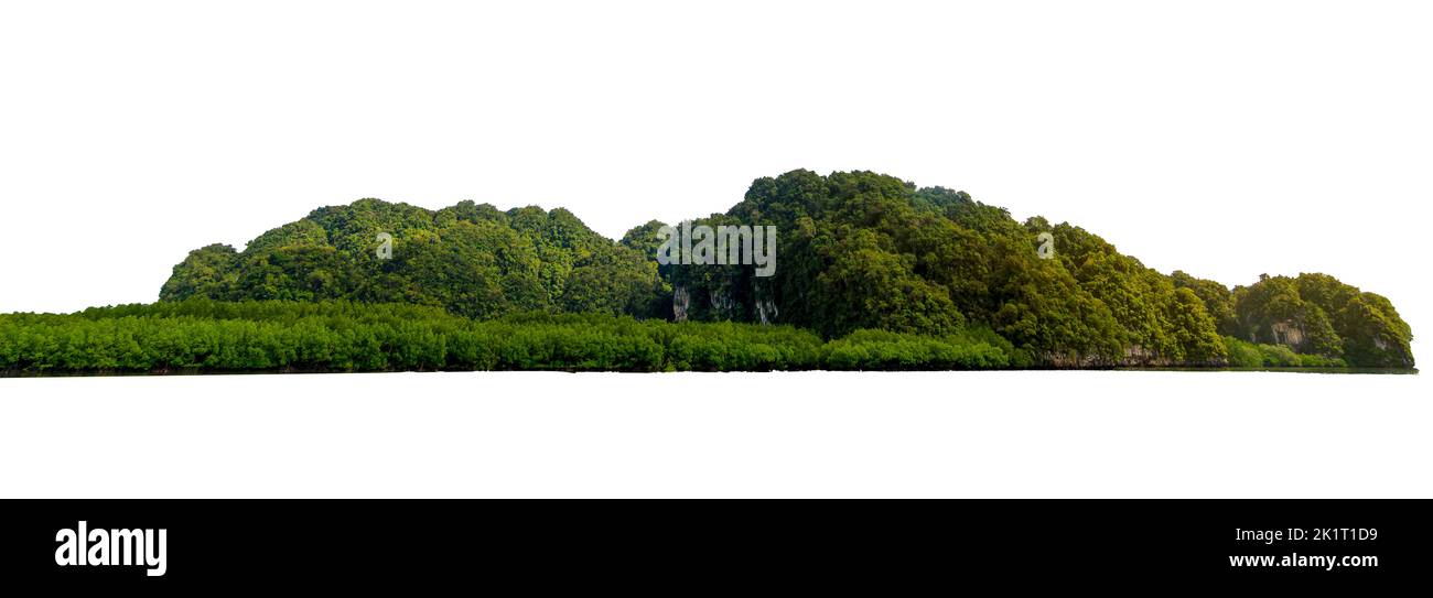 Isolare l'isola nel mezzo del mare verde sullo sfondo bianco separato dallo sfondo Foto Stock