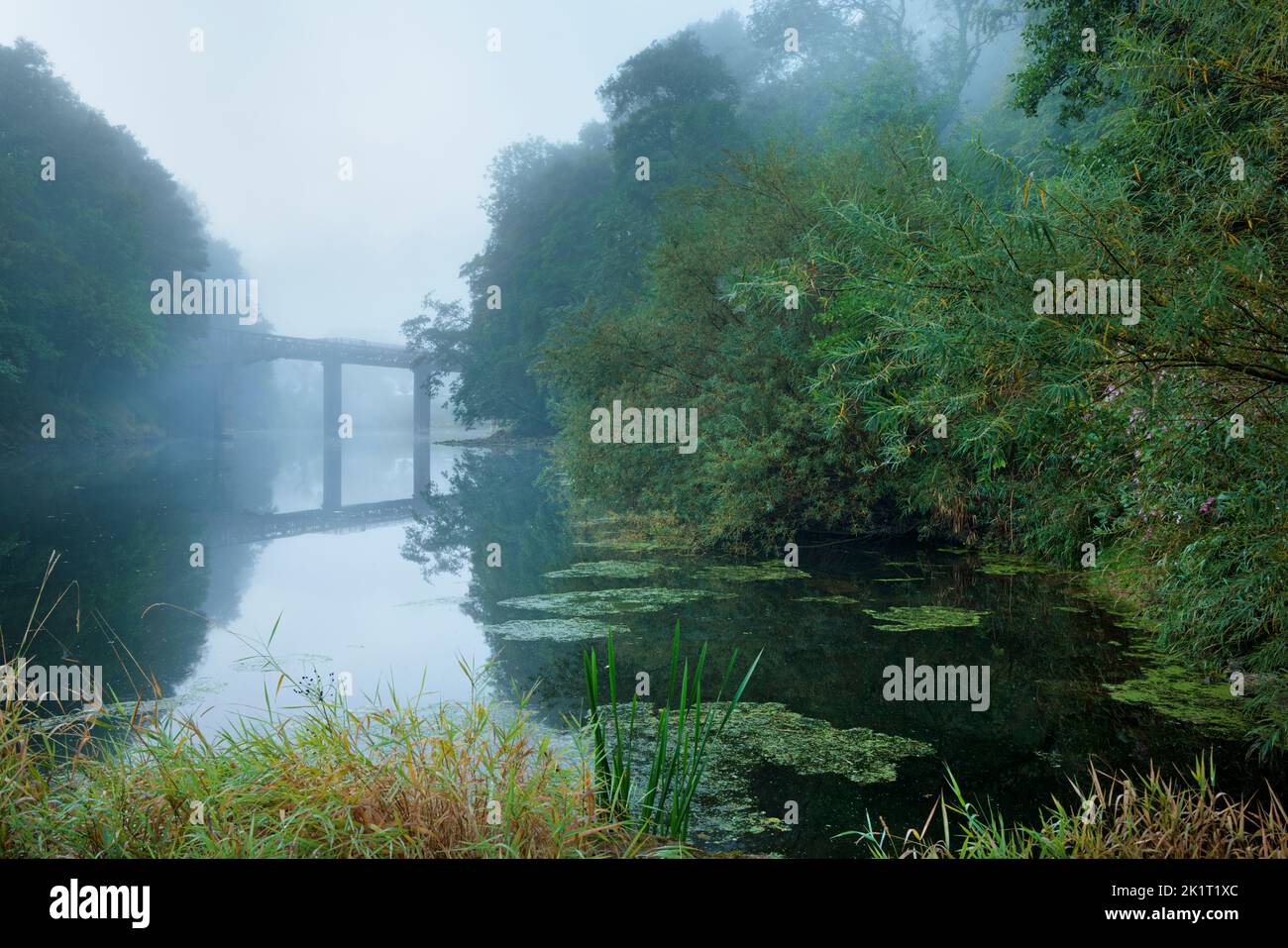 Vecchio ponte del tram sul fiume Wye a Redbrook. Foto Stock