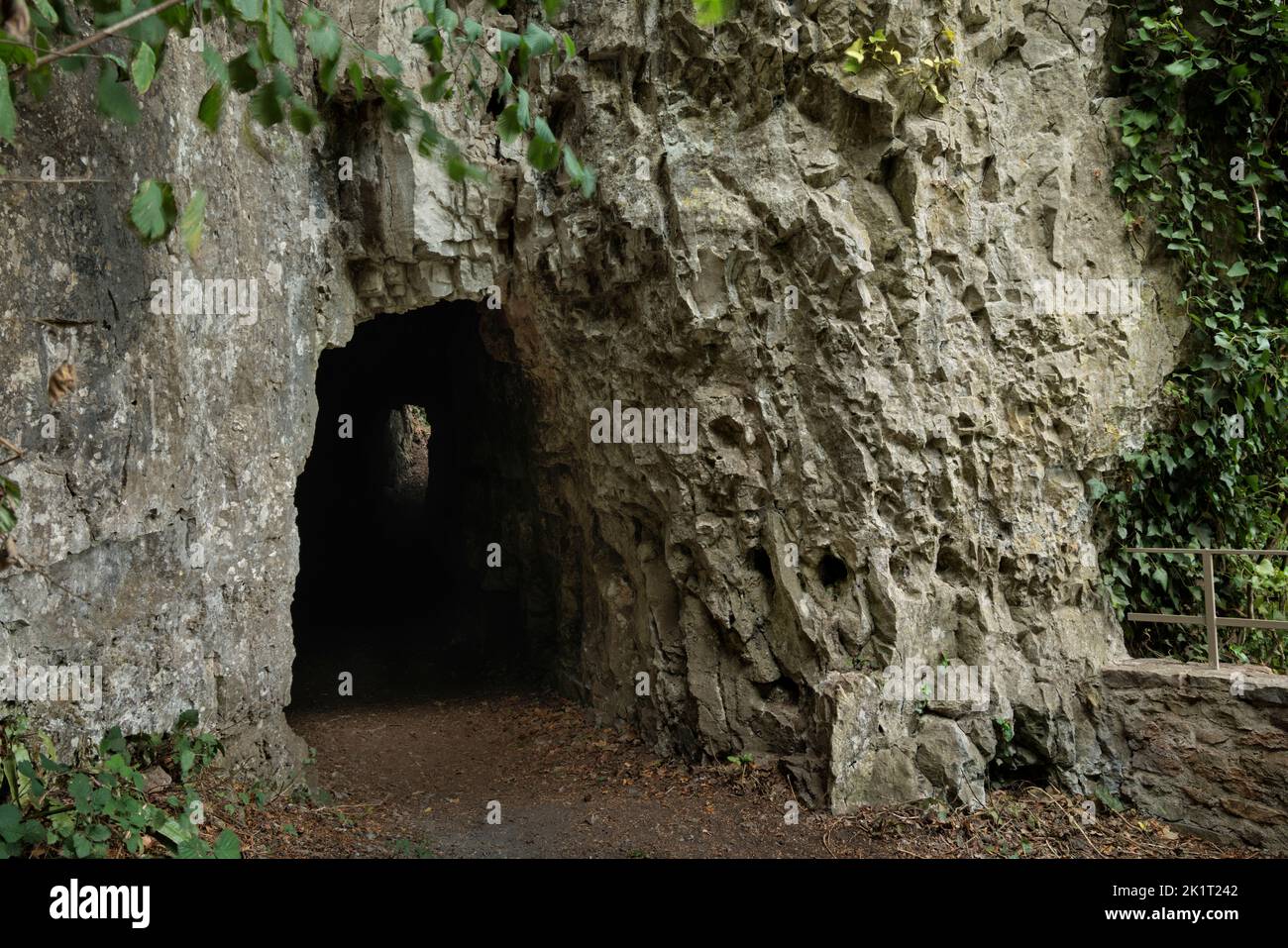 La Giant's Cave nella Lower Wye Valley. Foto Stock