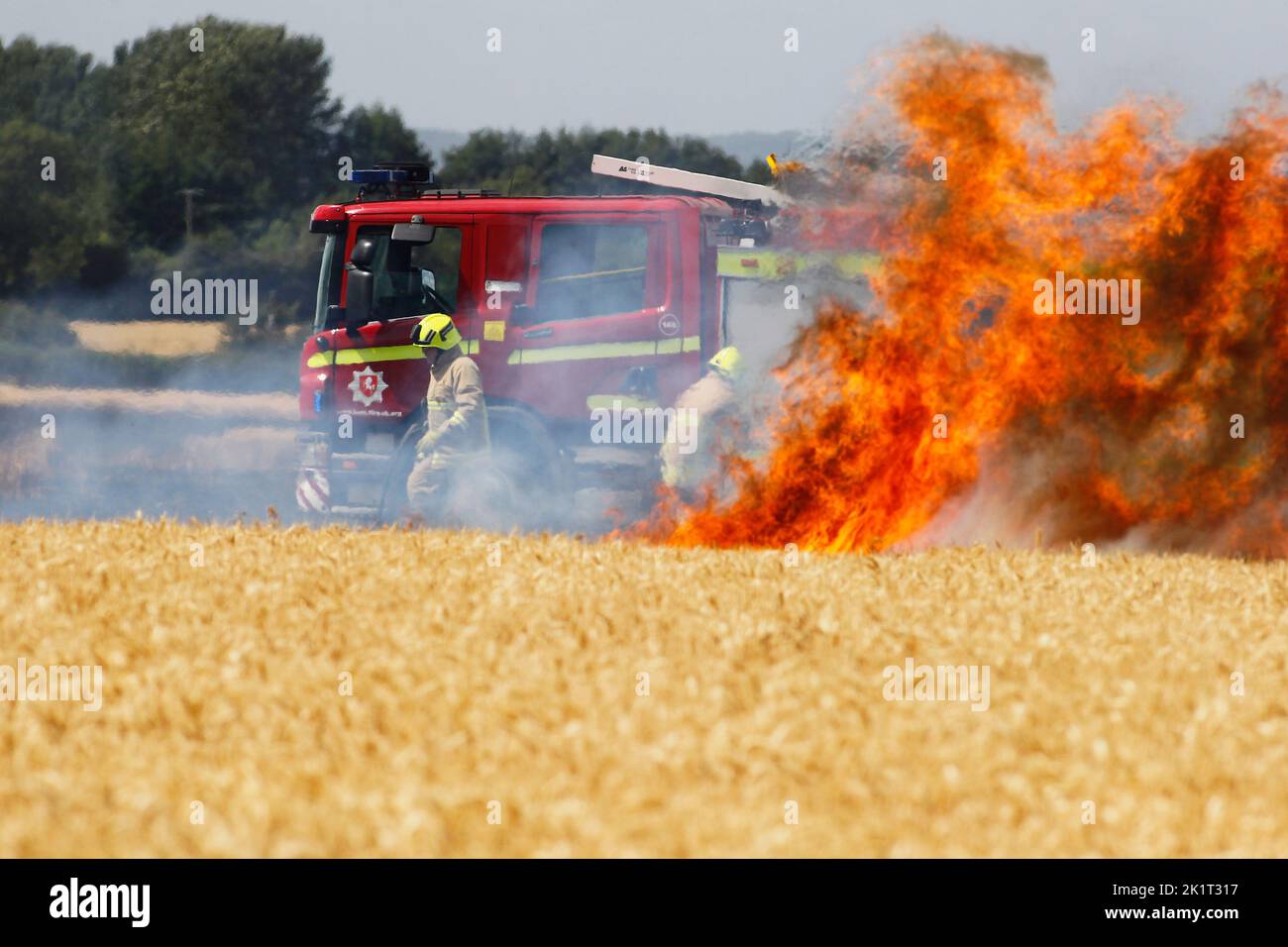 Inghilterra, Kent, Vigili del fuoco che assistono al fuoco in campo agricolo con raccolto di grano sul fuoco. Foto Stock