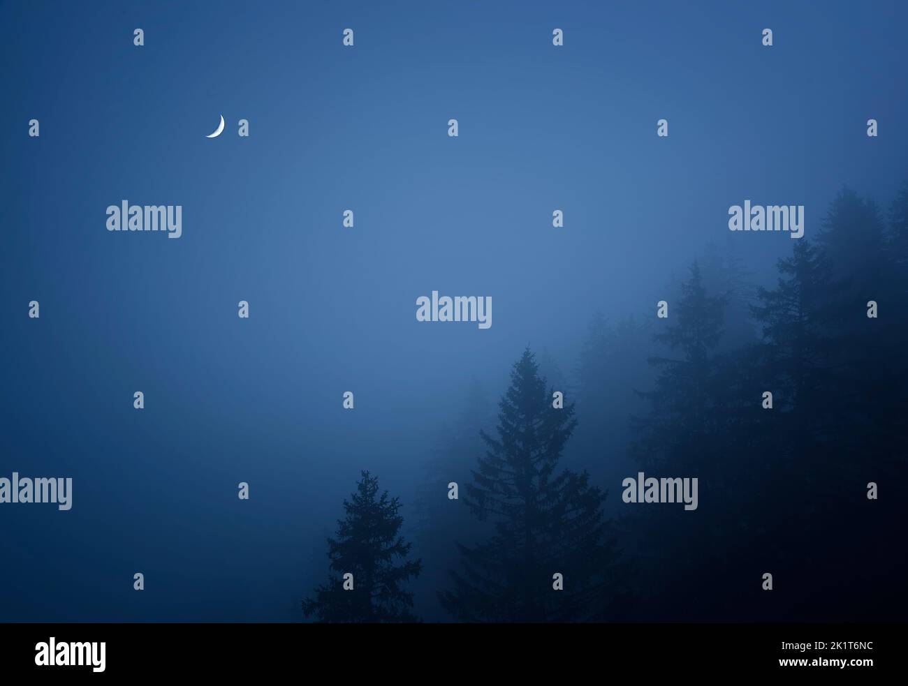 Nebbia che si assestano in una foresta di balsamo con quarto di luna Foto Stock