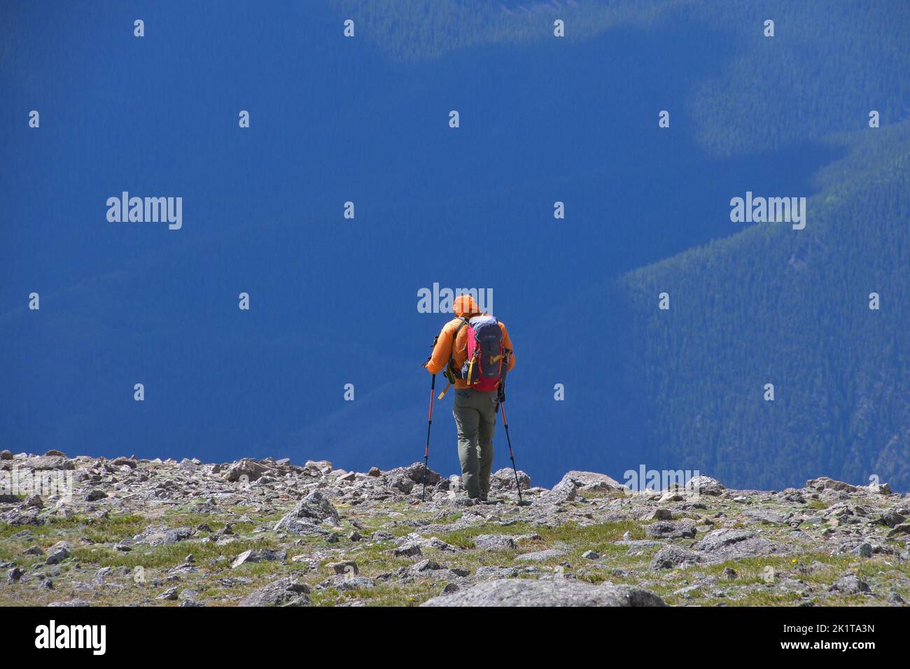 Un uomo con equipaggiamento completo per camminare in montagna e bastoni da passeggio fa il suo ritorno dal Monte Elbert in Colorado Stati Uniti Foto Stock