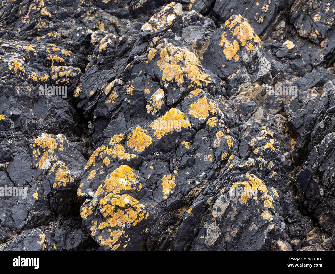 Bellissimi depositi rocciosi come sfondo. Primo piano degli strati di pietra, full frame. Pietra. Foto Stock