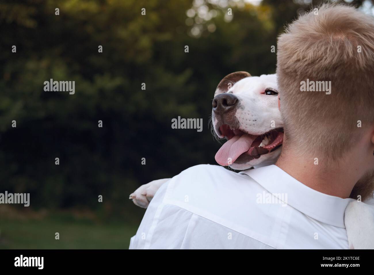 Il proprietario del cane abbraccia il suo giovane cane all'aperto. Uomo che interagisce con un cucciolo di terrier bianco dello staffordshire, felicità, gioia ed emozioni positive con gli animali domestici Foto Stock