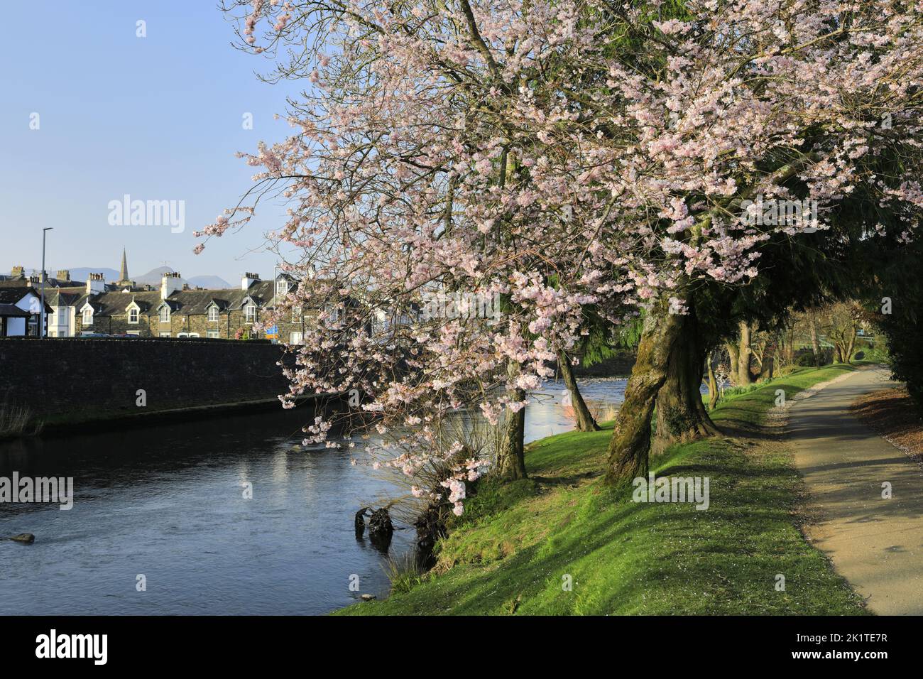 Fiori primaverili e fiori nel Fitz Park, Keswick Town, Lake District National Park, Cumbria, Inghilterra, Regno Unito Foto Stock