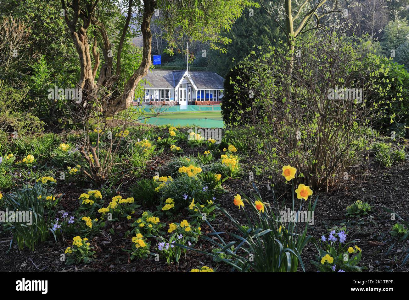 Fiori primaverili e fiori nel Fitz Park, Keswick Town, Lake District National Park, Cumbria, Inghilterra, Regno Unito Foto Stock