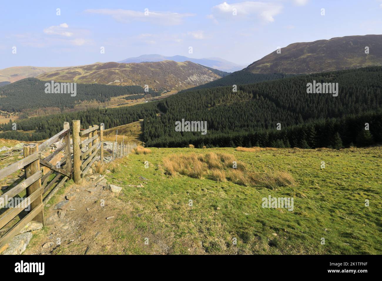 Vista sulla foresta di Whinlattor, sul Lake District National Park, Cumbria, Inghilterra, Regno Unito Foto Stock