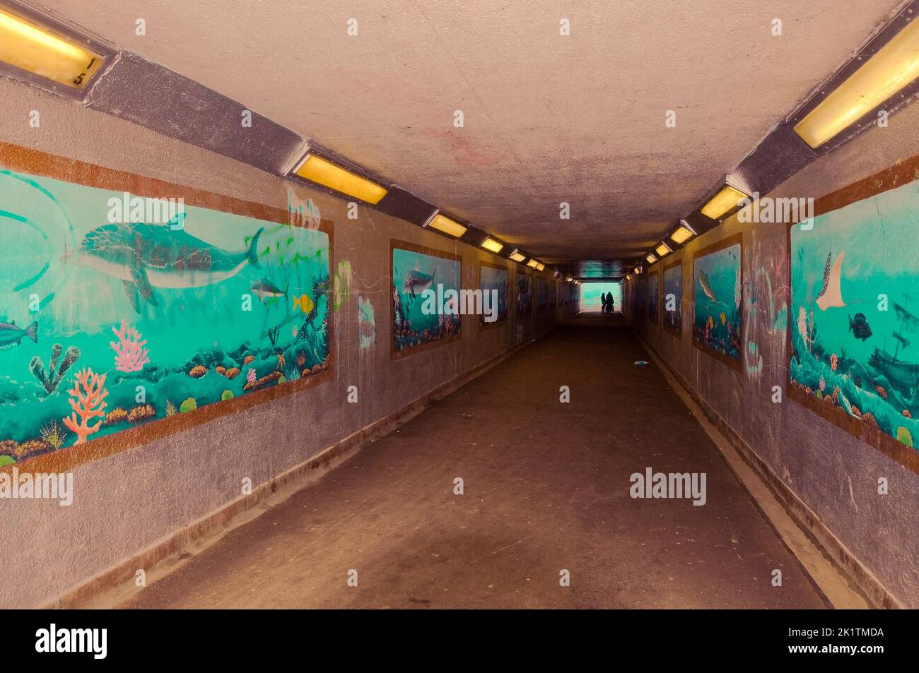 Sottopassaggio autostradale suburbano con graffiti all'acquario Foto Stock