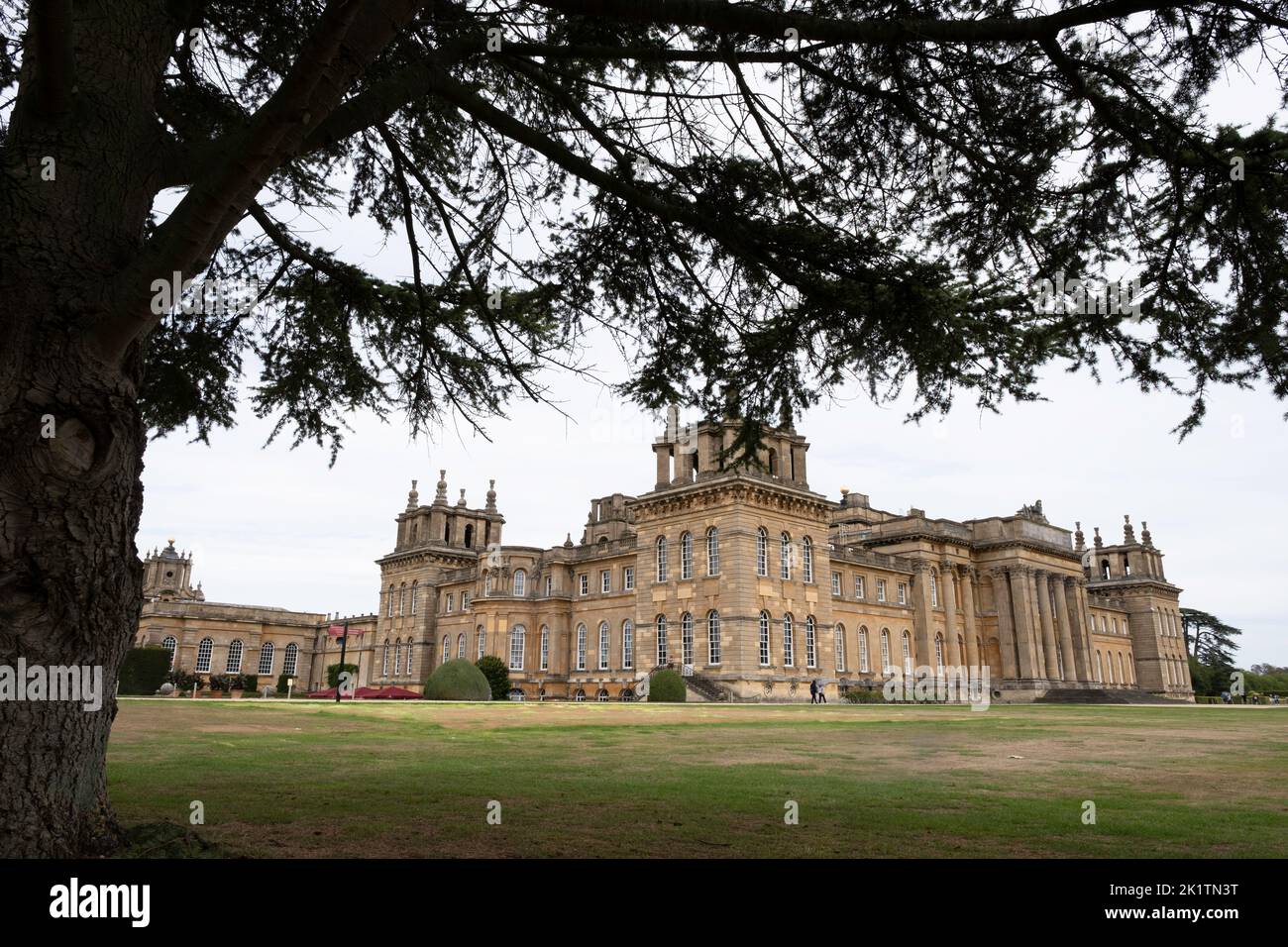 Paesaggio con il grande albero di Blenheim Palace, una casa di campagna monumentale situata in Oxfordshire, Inghilterra. Patrimonio dell'umanità dell'UNESCO Foto Stock