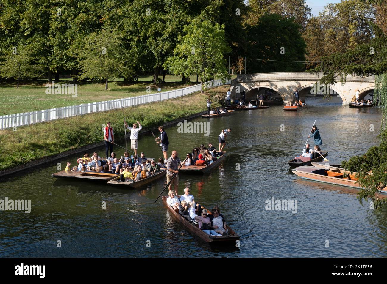Punzoning sul fiume Cam da Trinity Bridge presso la Cambridge University, Cambridgeshire, Inghilterra, Regno Unito Foto Stock