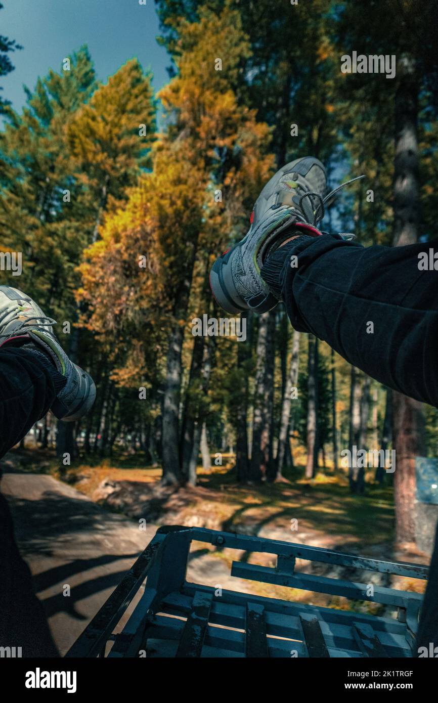 Un tiro verticale a fuoco selettivo di sneakers ai piedi sullo sfondo di una foresta con alberi di foglie gialle Foto Stock