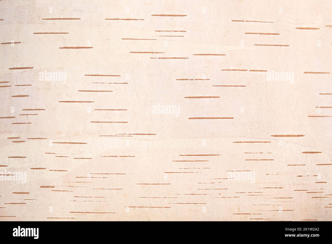 La consistenza della corteccia di betulla. Sfondo di corteccia di betulla. Corteccia di betulla rossa. La consistenza della corteccia di betulla bianca. Foto Stock